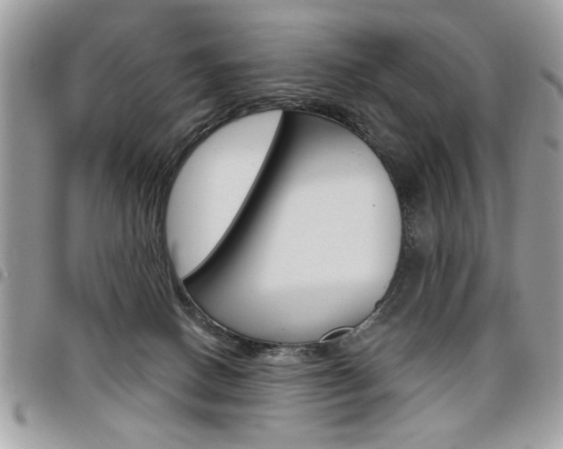 X0000097970082200803241029