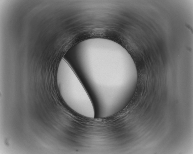 X0000097970083200803241029