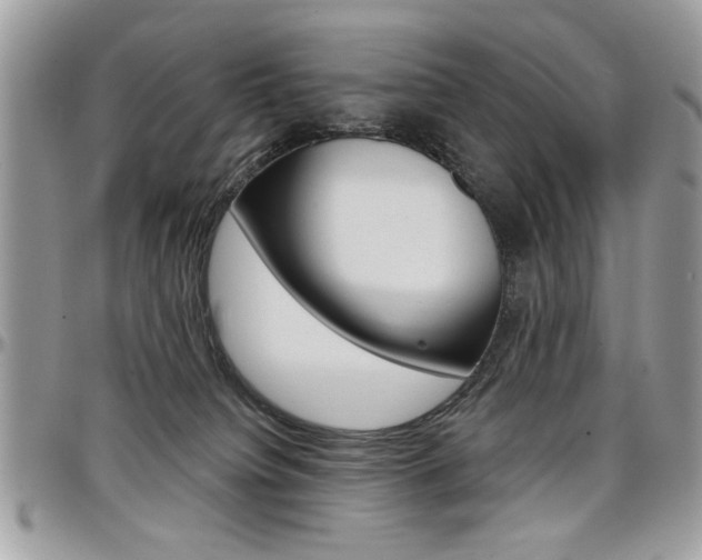 X0000097970084200803241029