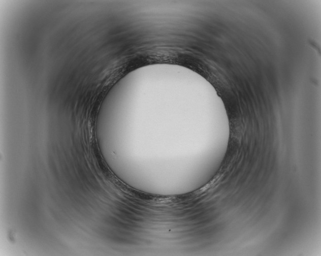 X0000097970086200803241029