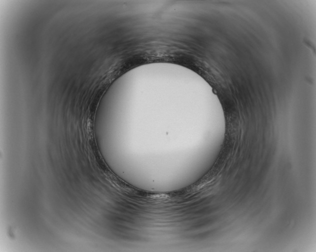 X0000097970087200803241029