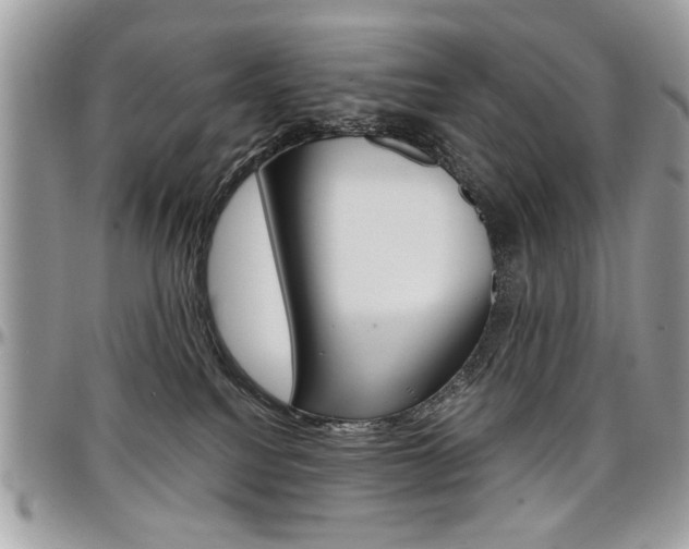 X0000097970088200803241029