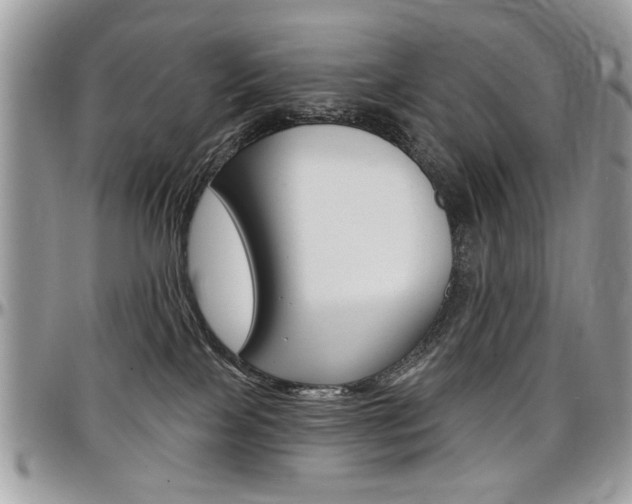 X0000097970089200803241029