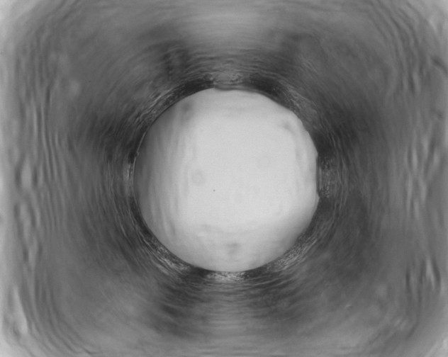X0000097970093200803241029