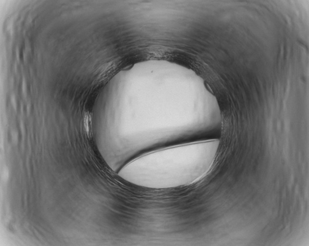 X0000097970094200803241029