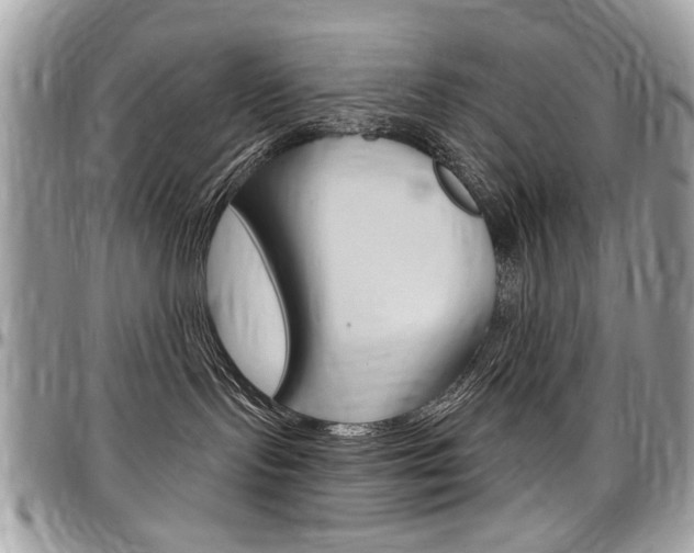 X0000097970095200803241029