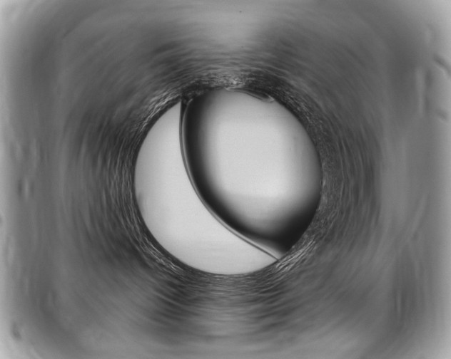 X0000097970096200803241029