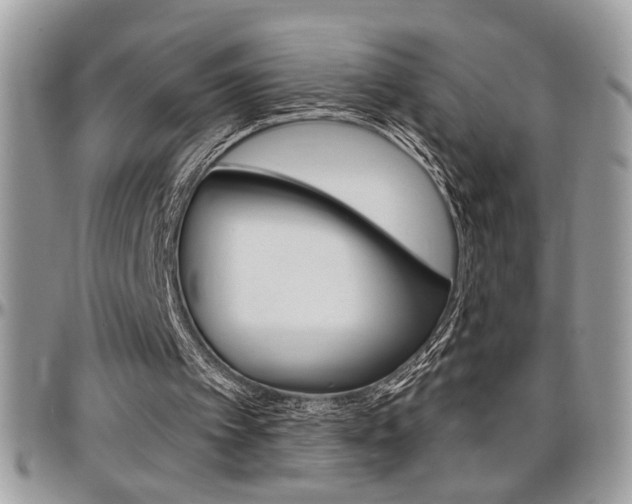 X0000097970097200803241028