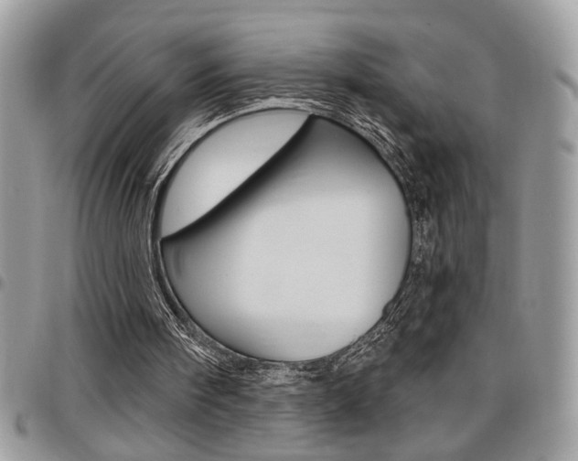 X0000097970098200803241028