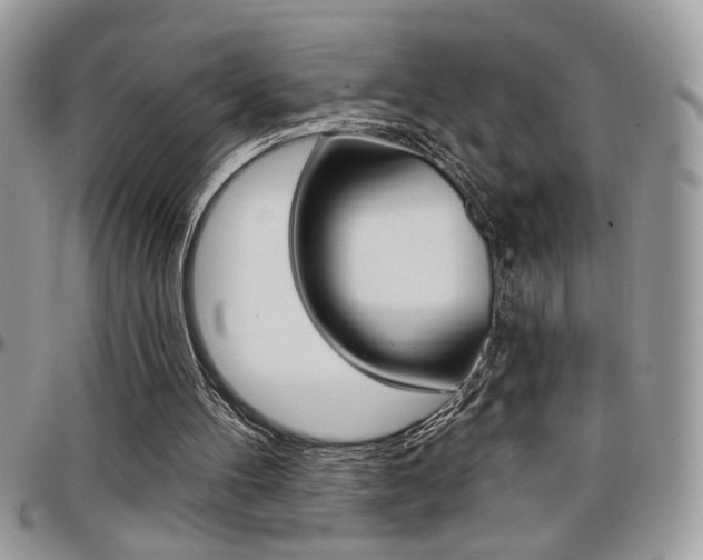 X0000097970100200803241028