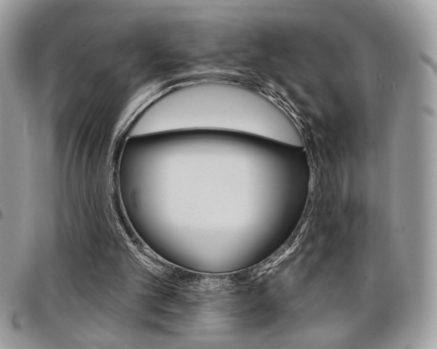 X0000097970101200803241028
