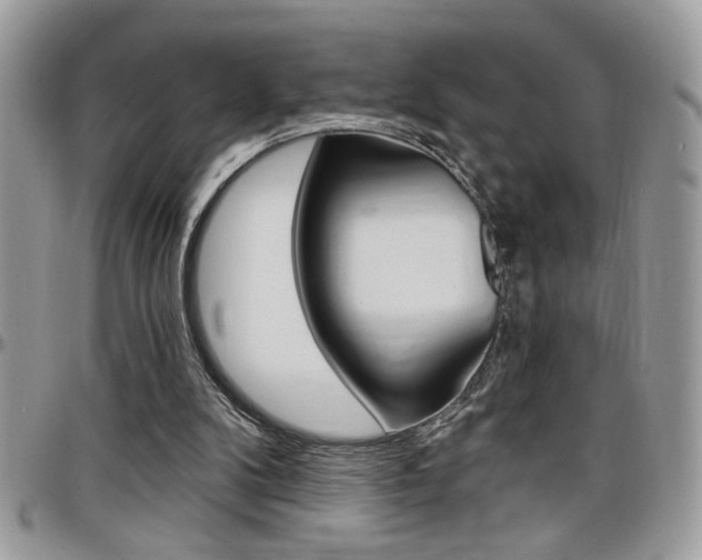 X0000097970104200803241028