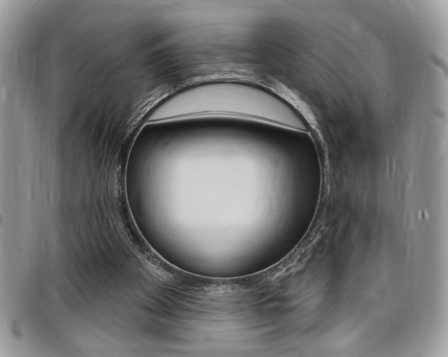 X0000097970105200803241028