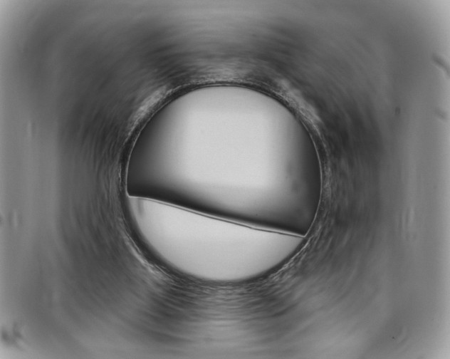 X0000097970107200803241028