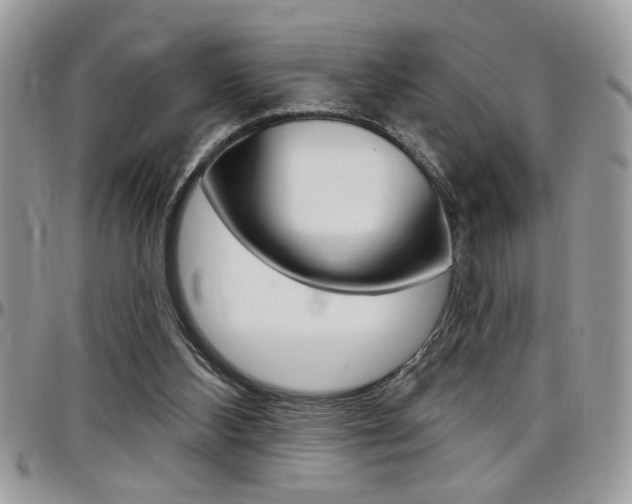 X0000097970108200803241028