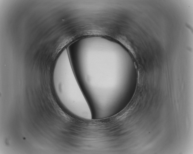 X0000097970109200803241028