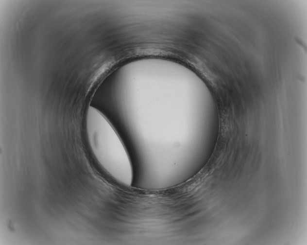 X0000097970111200803241028