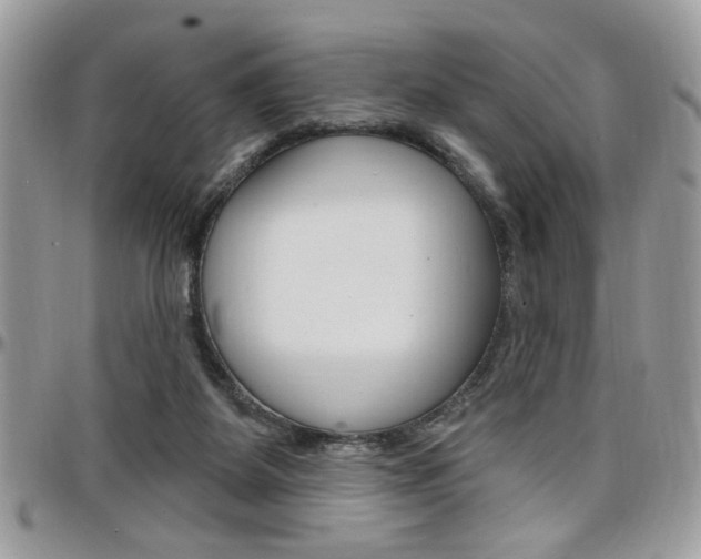 X0000097970115200803241028