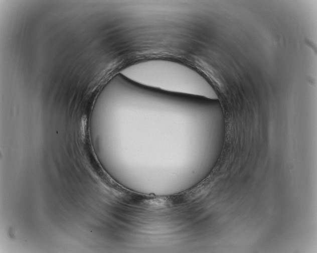 X0000097970118200803241028