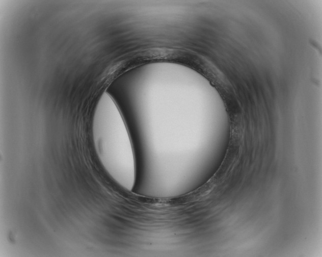 X0000097970119200803241028