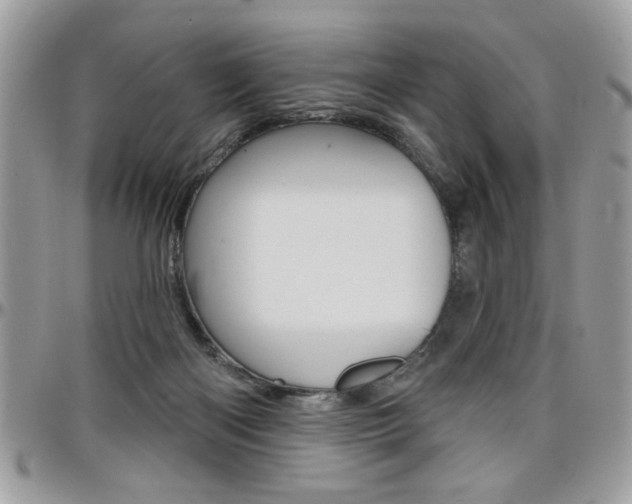 X0000097970122200803241028
