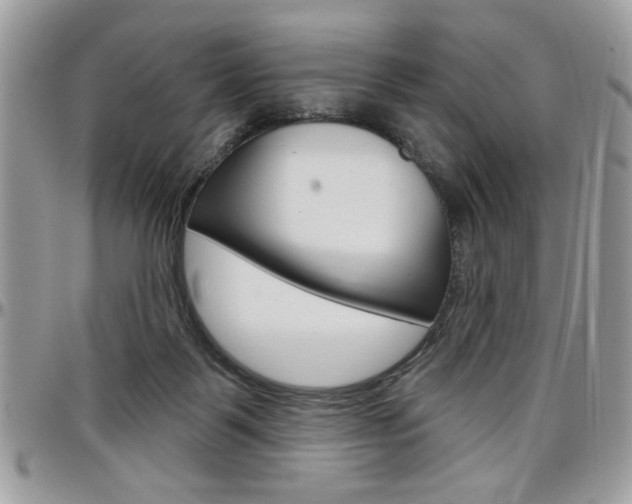 X0000097970123200803241028