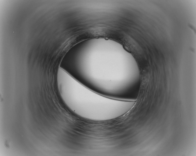 X0000097970124200803241028