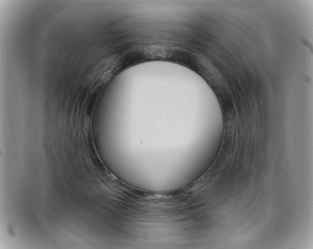 X0000097970125200803241028
