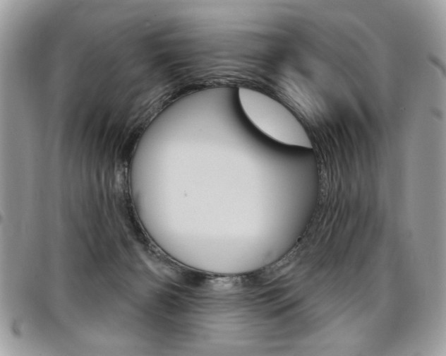 X0000097970126200803241028