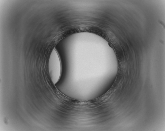X0000097970129200803241028