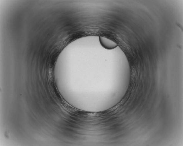 X0000097970130200803241028