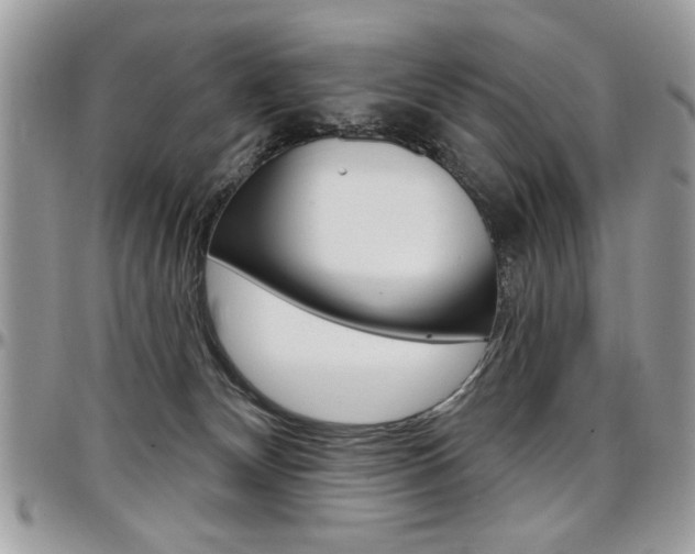 X0000097970132200803241027