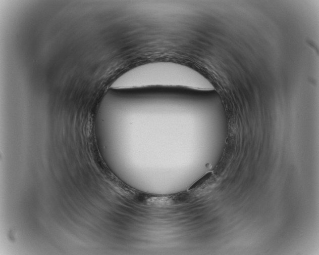 X0000097970133200803241027