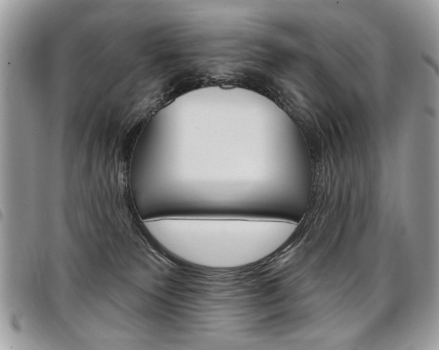 X0000097970135200803241027