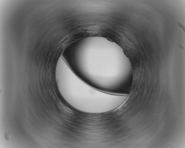 X0000097970136200803241027