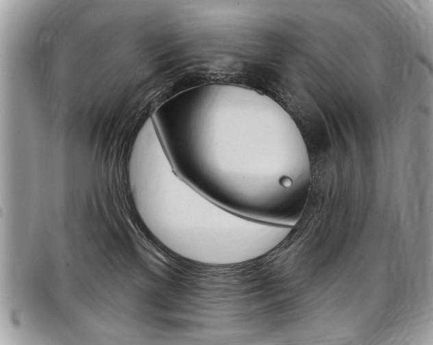 X0000097970137200803241027