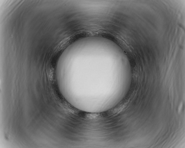 X0000097970139200803241027