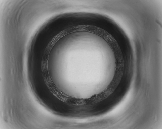 X0000097970143200803241027