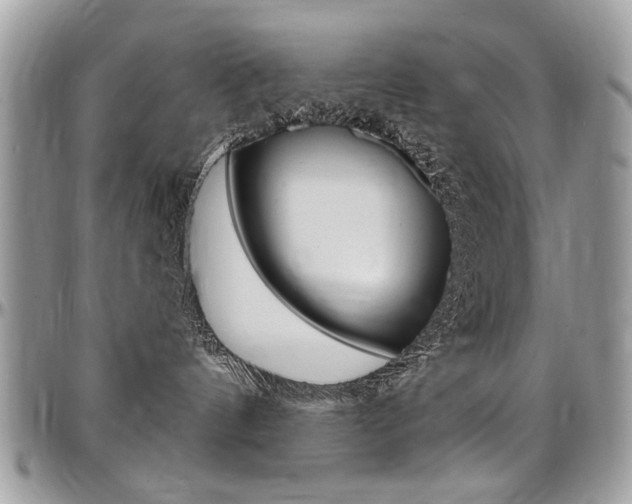 X0000097970144200803241027