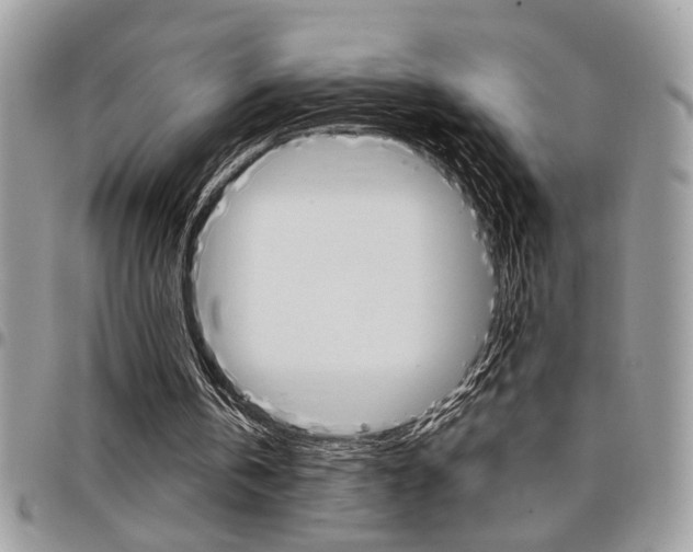 X0000097970146200803241027