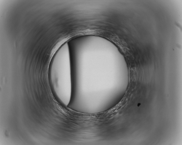X0000097970147200803241027