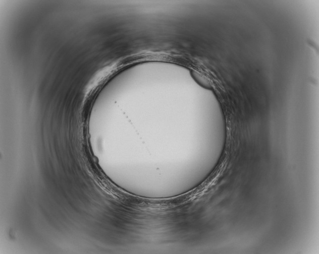 X0000097970149200803241027