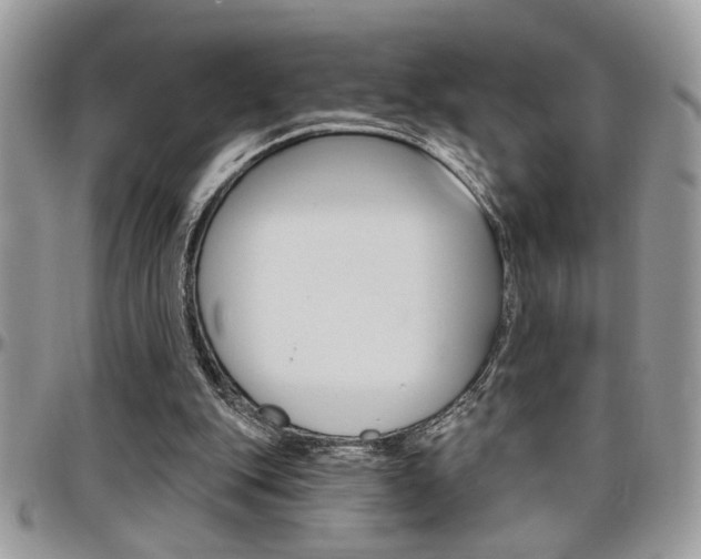 X0000097970151200803241027