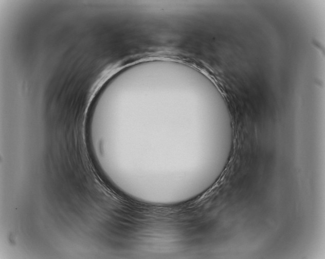 X0000097970152200803241027
