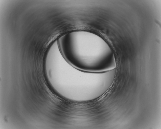X0000097970154200803241027