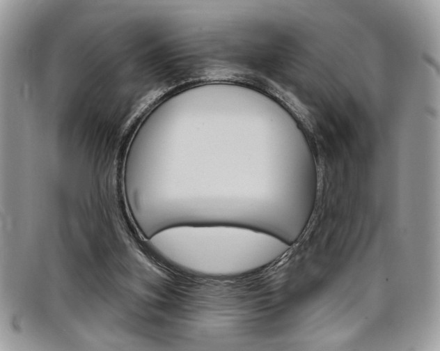 X0000097970155200803241027