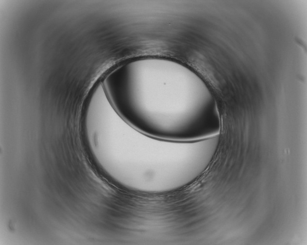X0000097970156200803241027