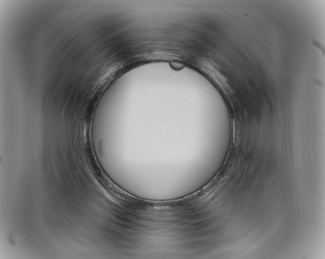 X0000097970157200803241027