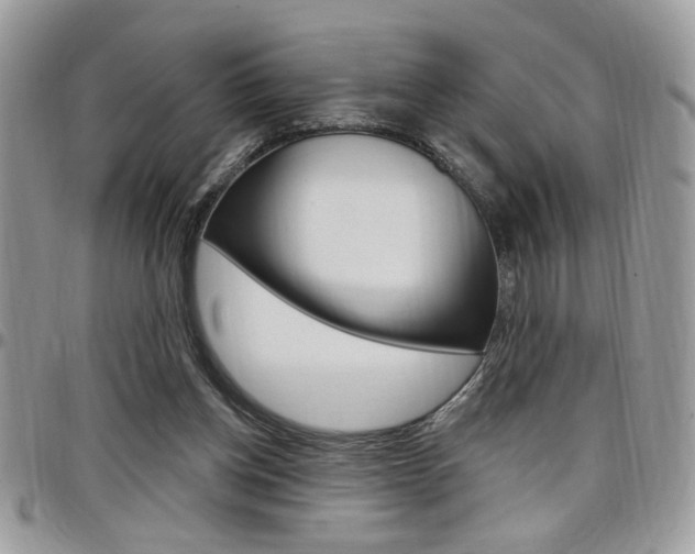 X0000097970158200803241027