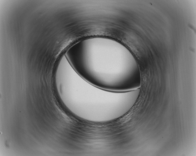 X0000097970160200803241027